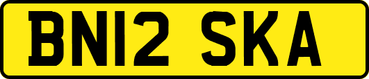 BN12SKA
