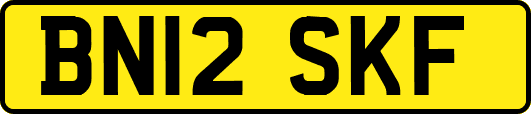 BN12SKF