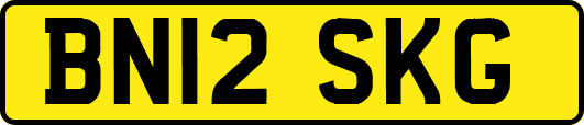 BN12SKG