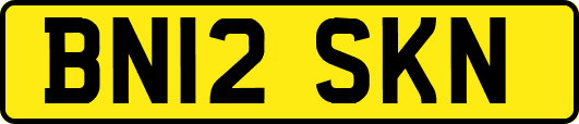 BN12SKN