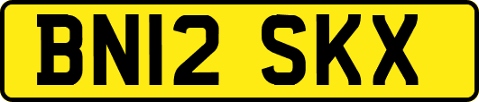 BN12SKX