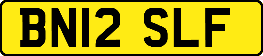 BN12SLF