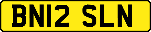 BN12SLN