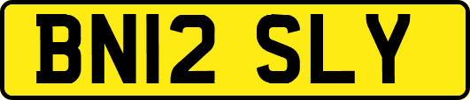BN12SLY