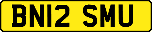 BN12SMU