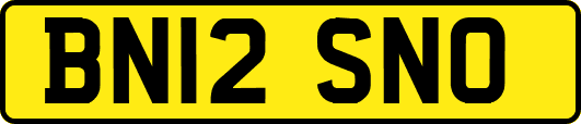 BN12SNO