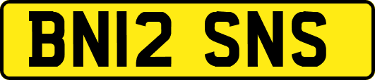 BN12SNS