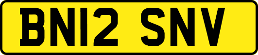 BN12SNV