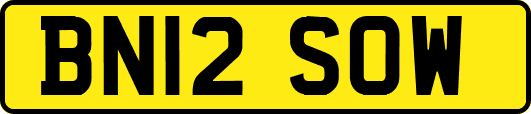 BN12SOW