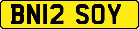 BN12SOY