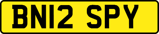 BN12SPY