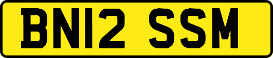 BN12SSM