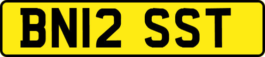 BN12SST