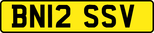 BN12SSV