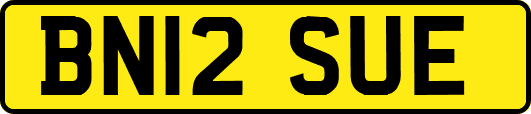 BN12SUE