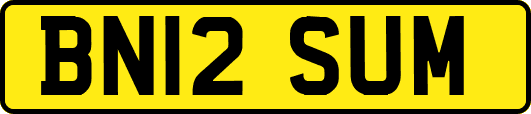BN12SUM