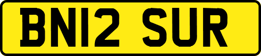 BN12SUR