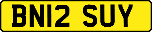BN12SUY