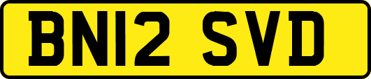 BN12SVD