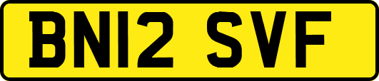 BN12SVF