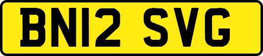 BN12SVG