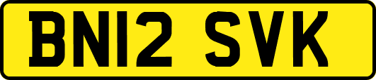 BN12SVK