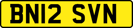 BN12SVN