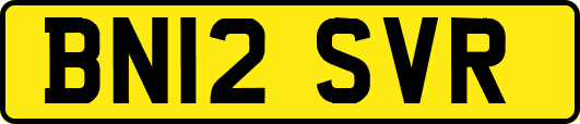 BN12SVR