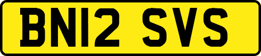 BN12SVS