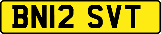 BN12SVT