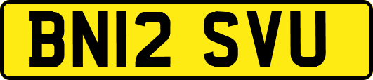 BN12SVU