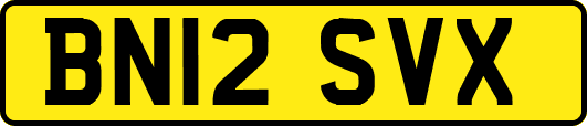 BN12SVX