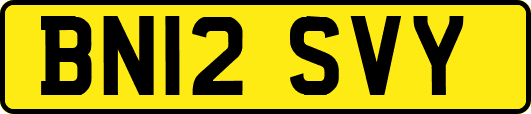 BN12SVY