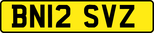 BN12SVZ