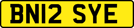 BN12SYE