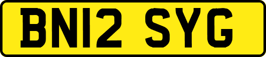 BN12SYG