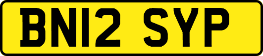 BN12SYP