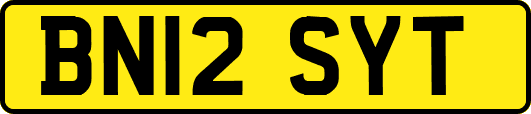 BN12SYT
