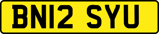 BN12SYU