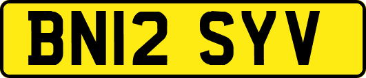 BN12SYV