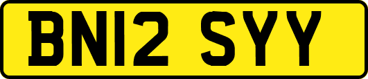 BN12SYY