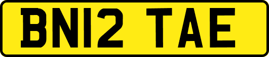 BN12TAE