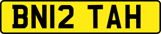 BN12TAH
