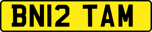 BN12TAM