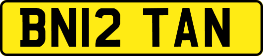 BN12TAN