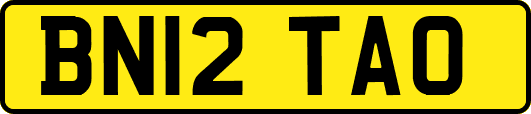 BN12TAO