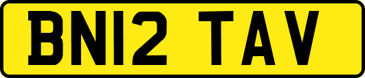 BN12TAV