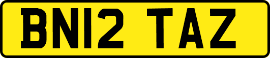 BN12TAZ