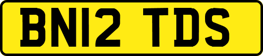 BN12TDS