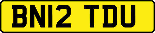 BN12TDU